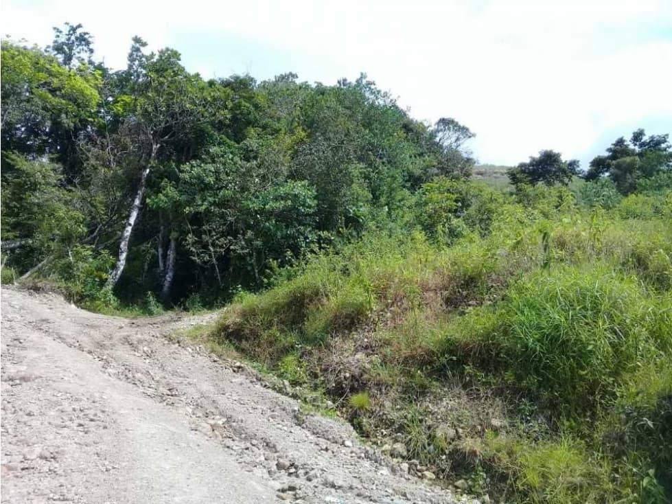 FINCA A POCOS MINITOS DEL VALLE DE ANTÓN $6 EL M2 - 1