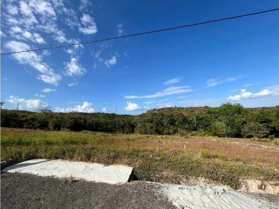 Hermoso terreno lotificado ubicado en la comunidad de Las Uvas - 1