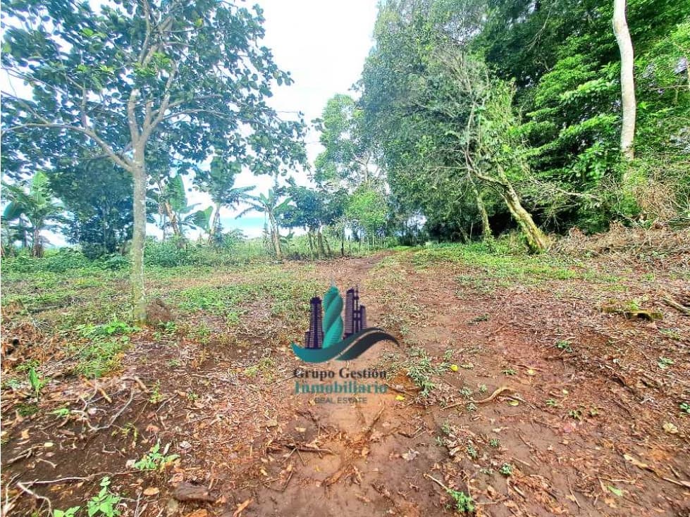 POTRERILLO ARRIBA, INCREÍBLE FINCA EN VENTA - 1