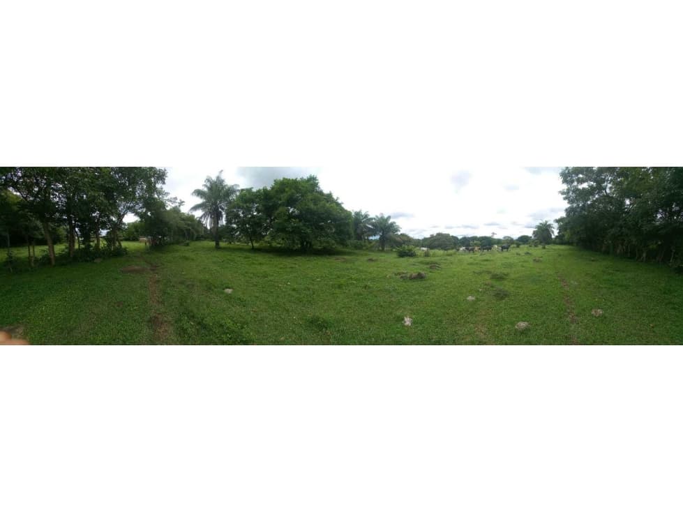 SE VENDE 18 HECTAREAS EN SANTIAGO VERAGUAS - 1