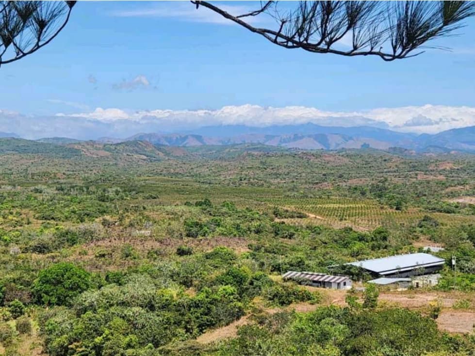 Se vende Finca en San Francisco de Veraguas - 1