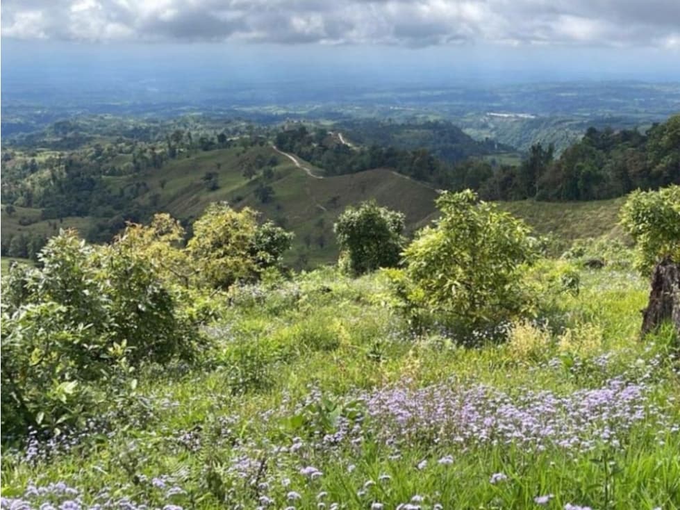 Se Vende Hermosa Hacienda Cafetera en Chiriquí - 1