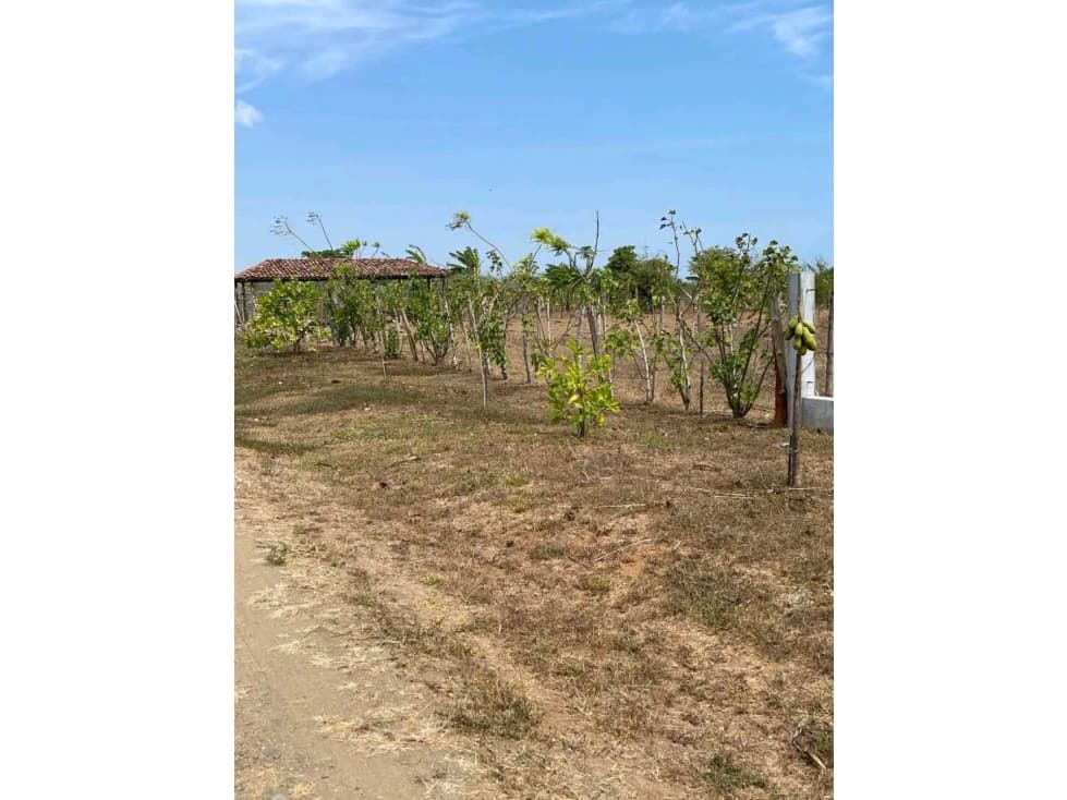SE VENDE TERRENO EN POCRÍ 1449 m² - LOS SANTOS - 1