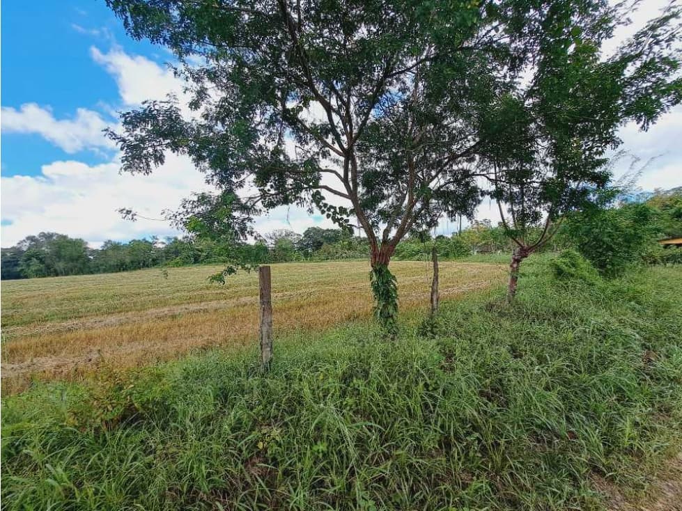 TERRENO EN VENTA - 1