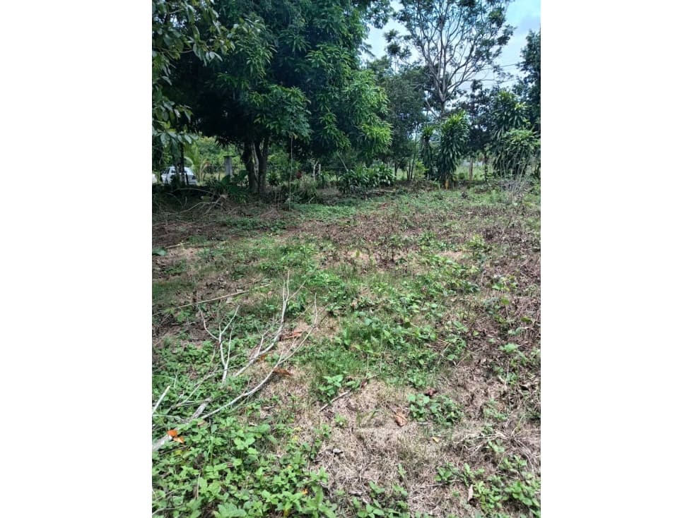 VENDO.1000MTS A PASOS DEL PUERTO BARU CORREG. CHIRIQUI - 1