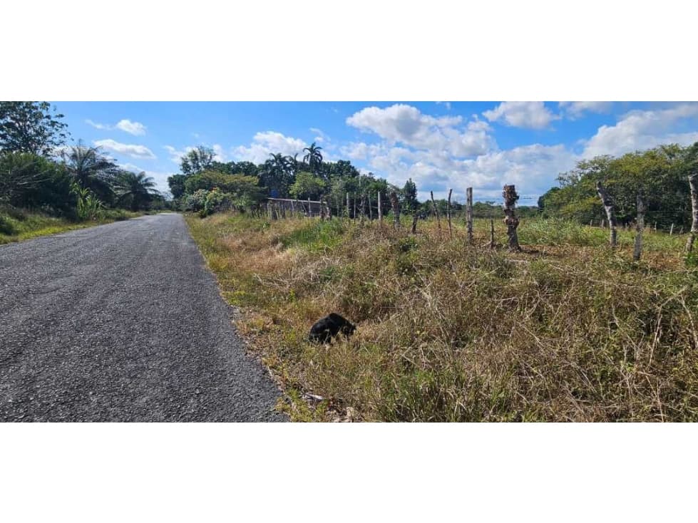 VENDO 2.4 HAS EN COCHEA ABAJO CHIRIQUÍ - 1