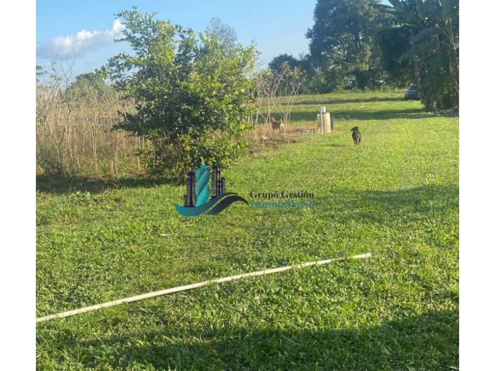 VENDO 3HECTAREAS + EN SANTA RITA BOQUERON - 1