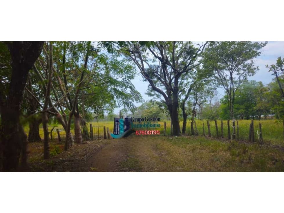 VENDO FINCA 168 HAS EN CHIRIQUÍ - 1