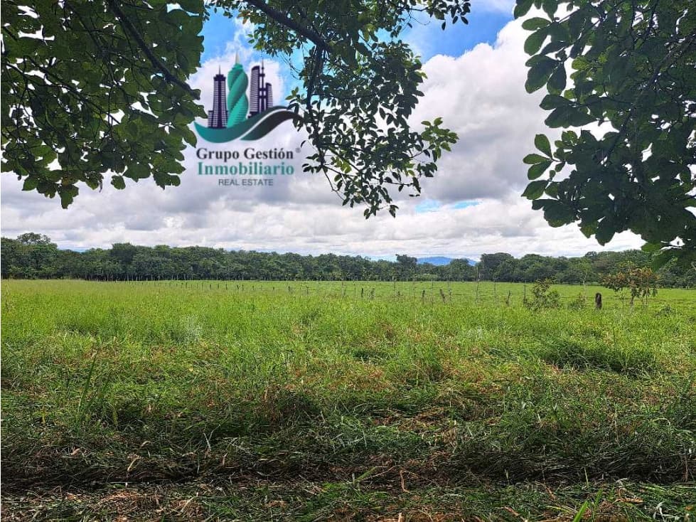 VENDO LOTES DE 5000MTS EN COCHEA ABAJO - 1