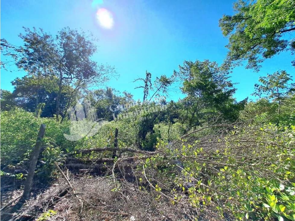 VENDO FINCA DE 10HA TOPOGRAFIA PLANA - 1