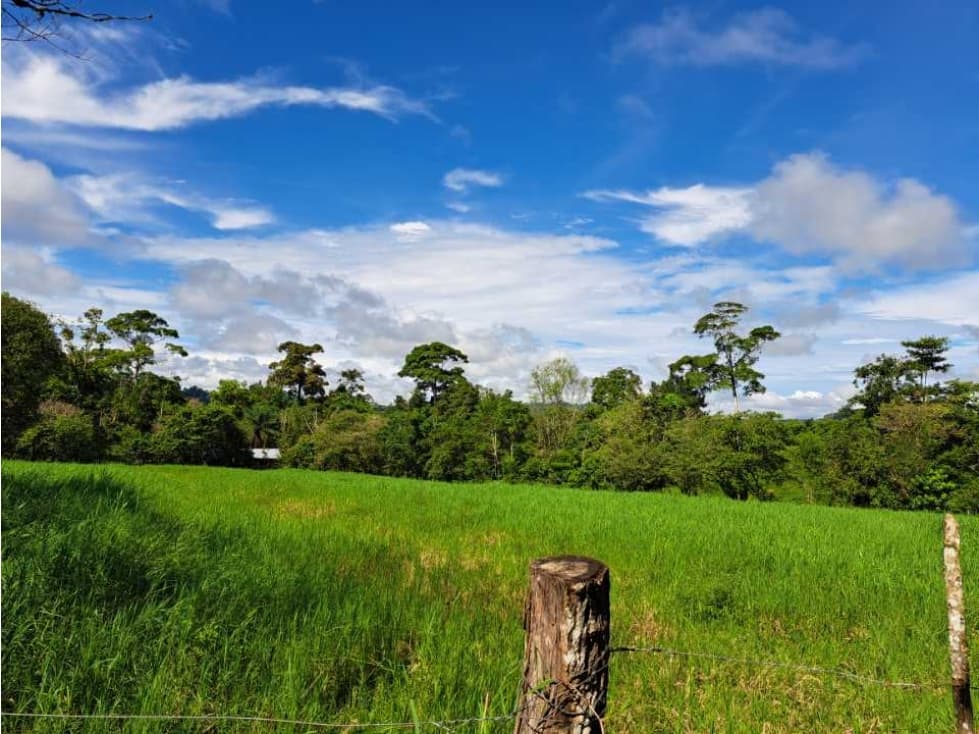 VENDO FINCA DE 116HECTAREAS MECANIZABLES - 1