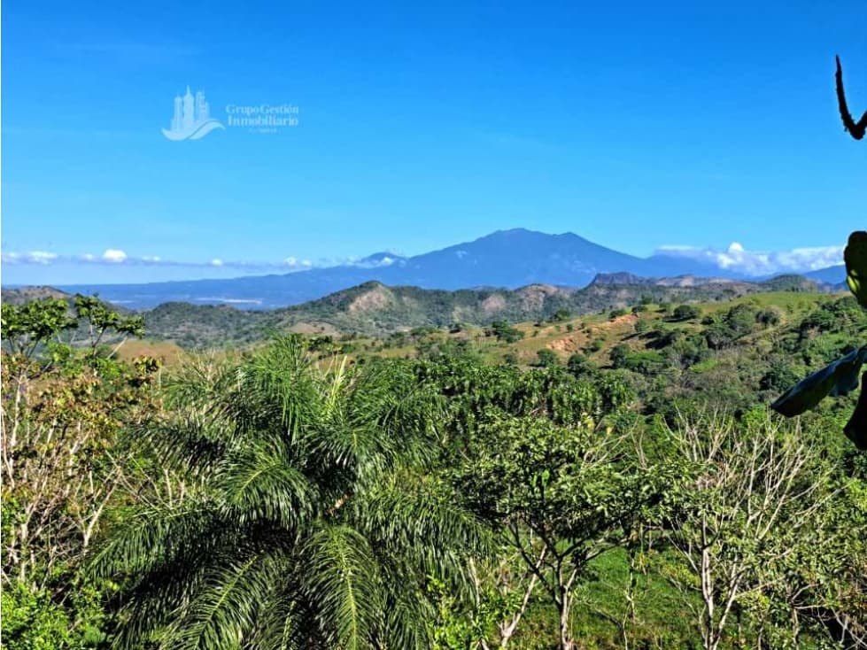 VENDO FINCA DE 12 HECTAREAS REFORESTADA - 1