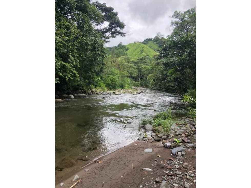 VENDO FINCA DE 145HECTAREAS RENACIMIENTO - 1