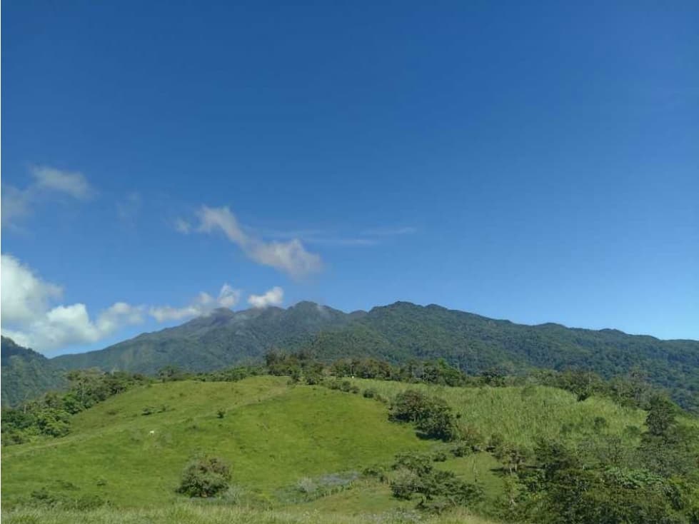 VENDO FINCA DE 18HECTAREAS FALDAS VOLCAN - 1