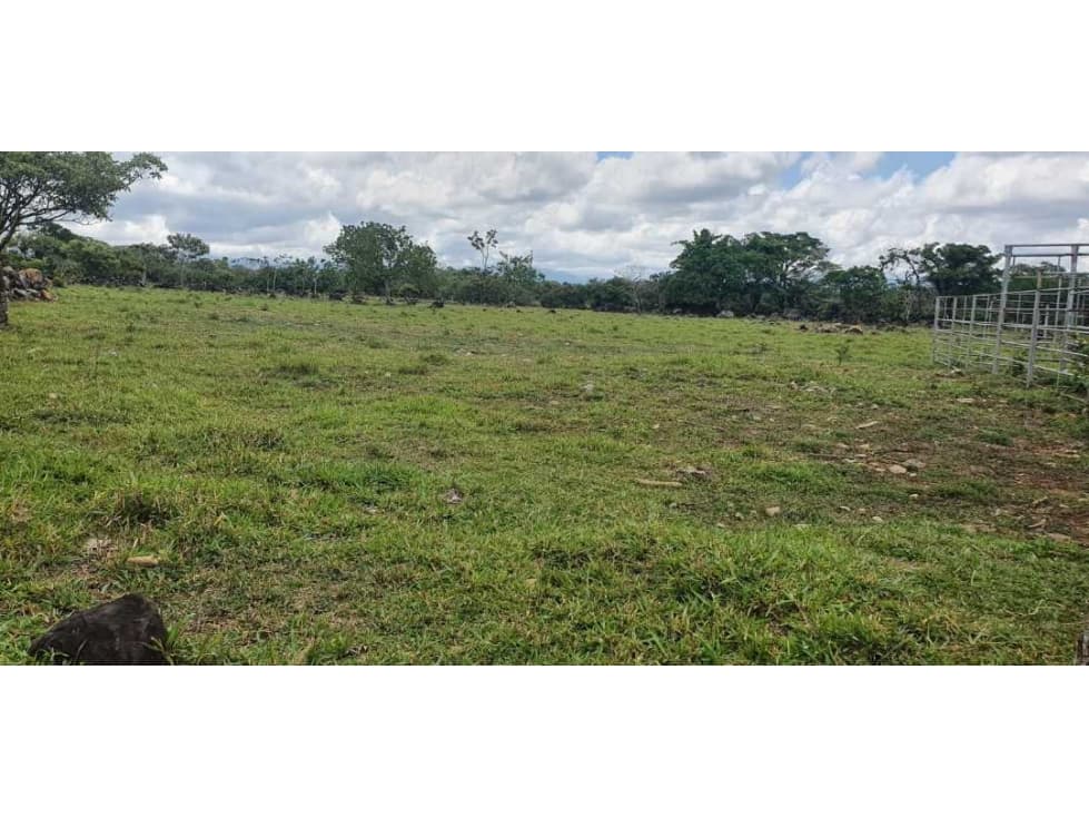 Vendo finca de 54 ha en Rovira, Chiriquí, ideal para ganadería! - 1