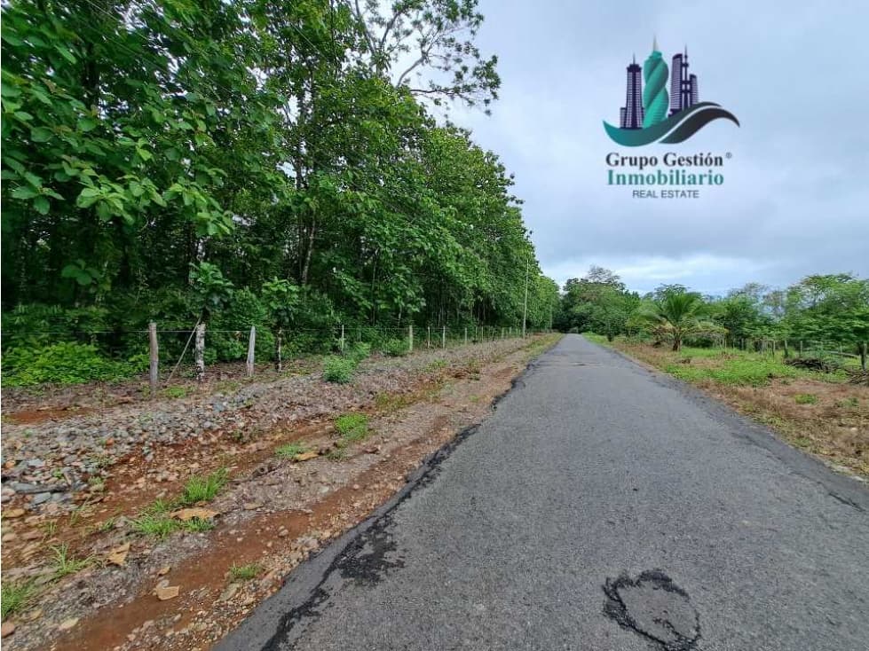 VENDO FINCA DE SIETE HECTAREAS LAJAS - 1
