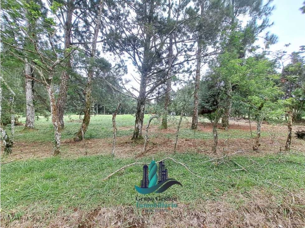 VENDO LOTE DE 5000M2 POTRERILLOS VIA ARRIBA - 1