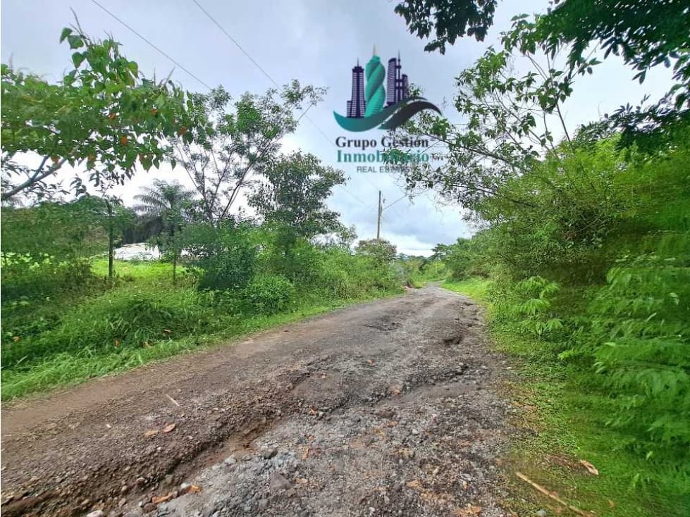 VENDO LOTE DE 7000M2 EN PARAISO - 1