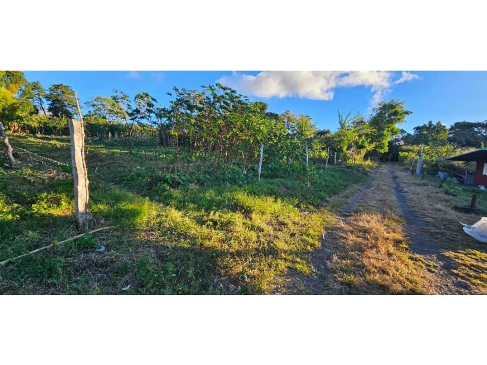 VENDO TERRENO DE 2000 METROS BOQUETE PALMIRA - 1