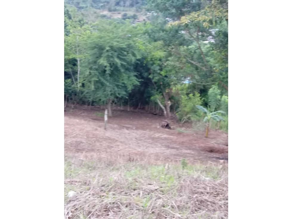VENDO TERRENO EN LA CHORRERA LA PESA 1 690MTS - 1