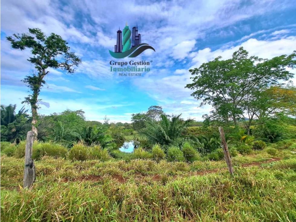 VENDO.FINCA 47HA CON.AGUA Y HUMEDALES.JUAY - 1