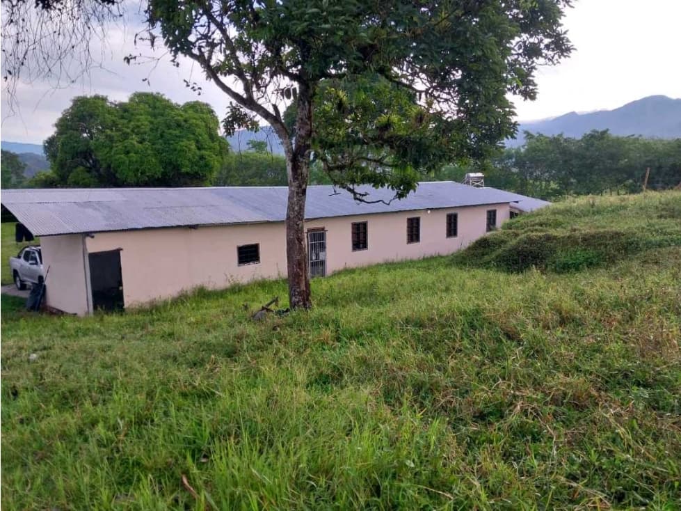 VENDO.FINCA DE 10HECTAREAS CON.CASA VIA CAIZAN - 1