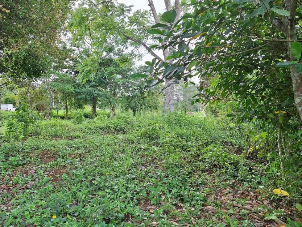VENDO.LOTE DE 2000MTS RIOSERENO - 1
