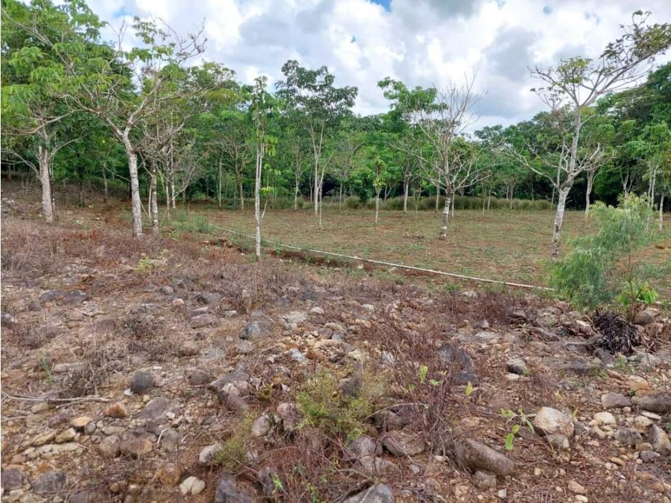 VENDO.LOTE EN.POTRERILLO ABAJO 8000 M2 - 1