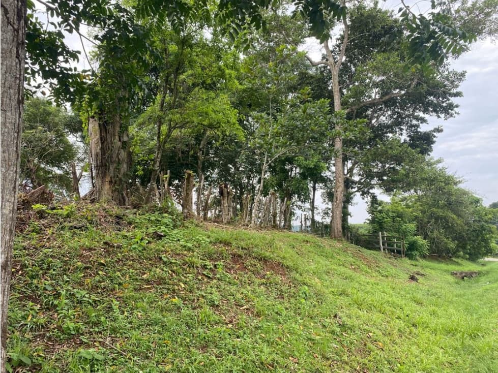 VENTA DE TERRENO EN PANAMA OESTE - 1
