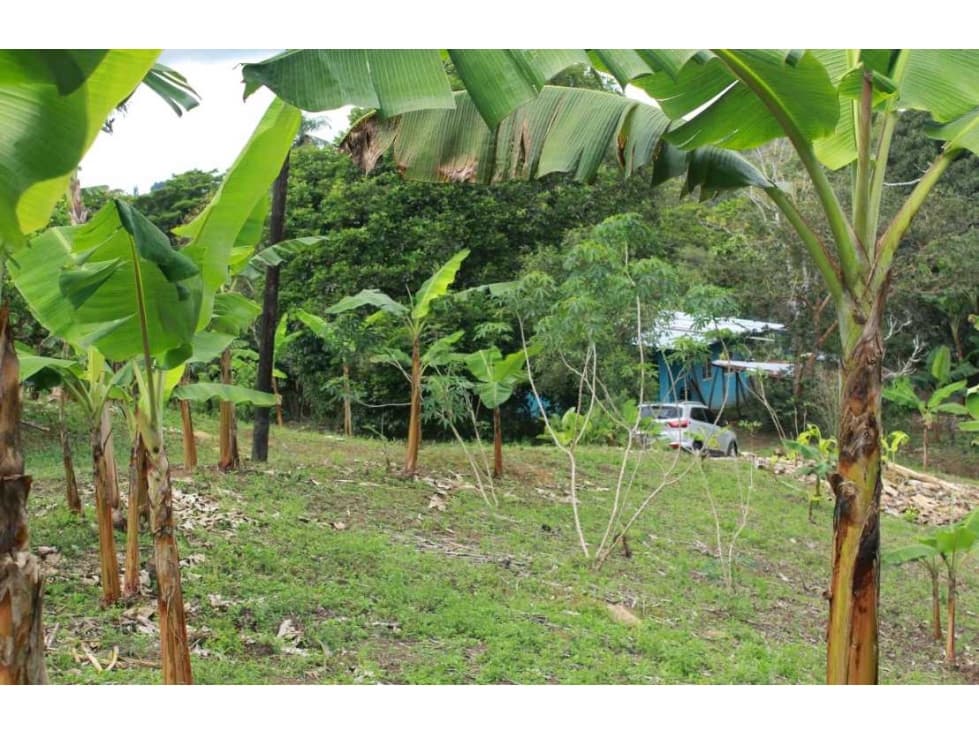 VENTA DE PROPIEDAD TITULADA CON 5,500 METROS RIO SERENO - 1