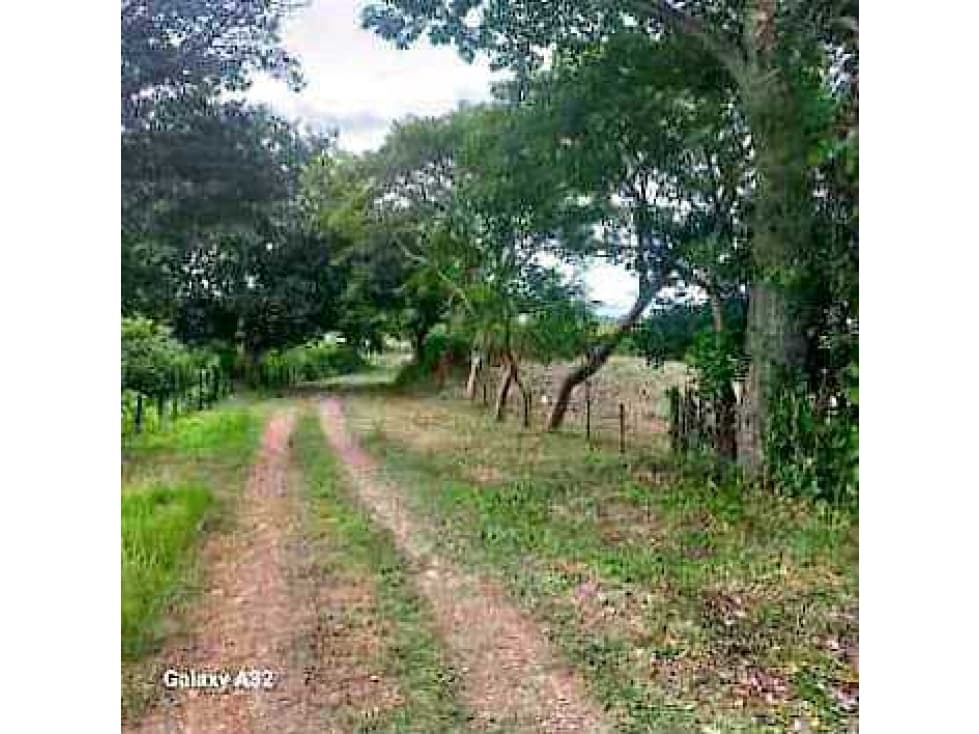 VENTA TERRENO 750m2 EXCELENTE OPORTUNIDAD, PENONOMÉ LAS LOMAS. - 1
