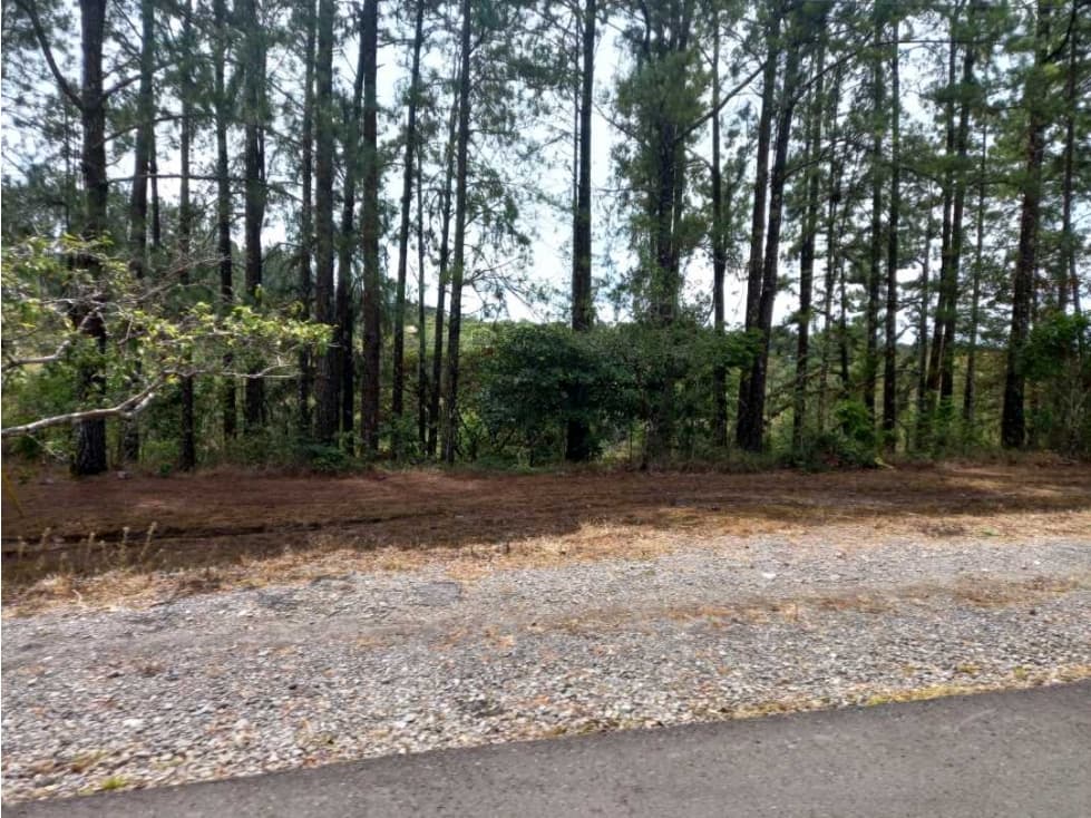 VENTA TERRENO EN BOQUETE CHIRIQUI - 1