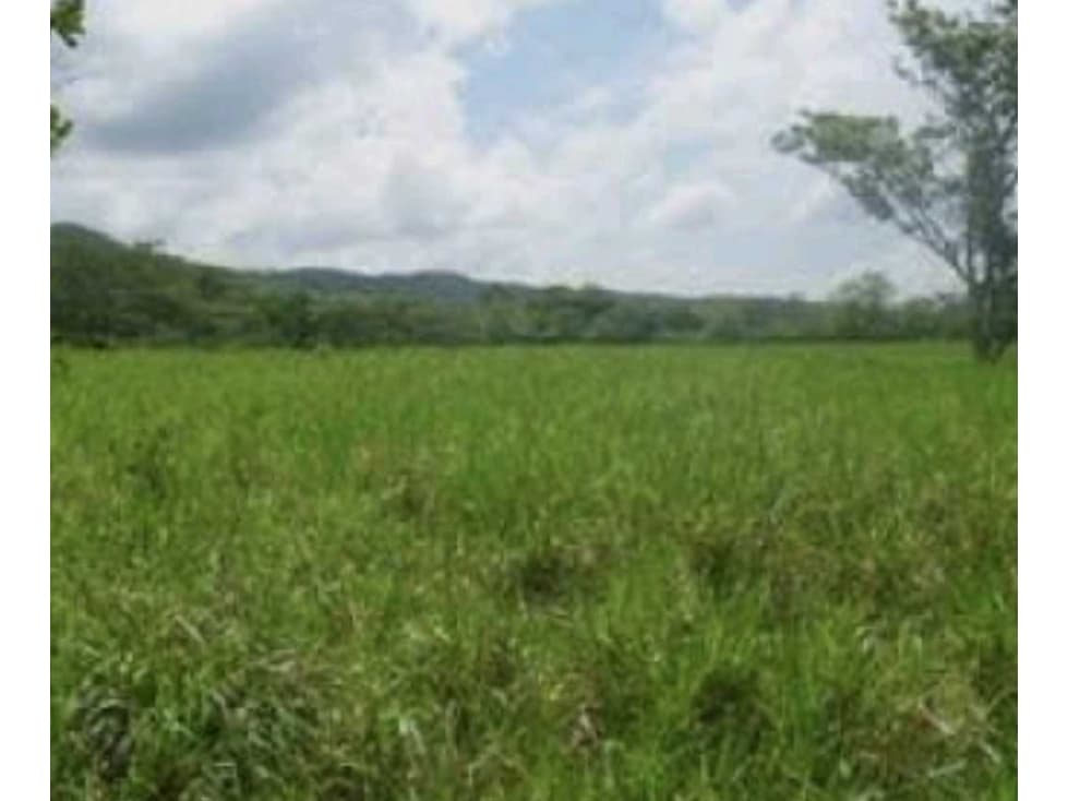 Vendo finca en Cañitas de Chepo Panamá - 1