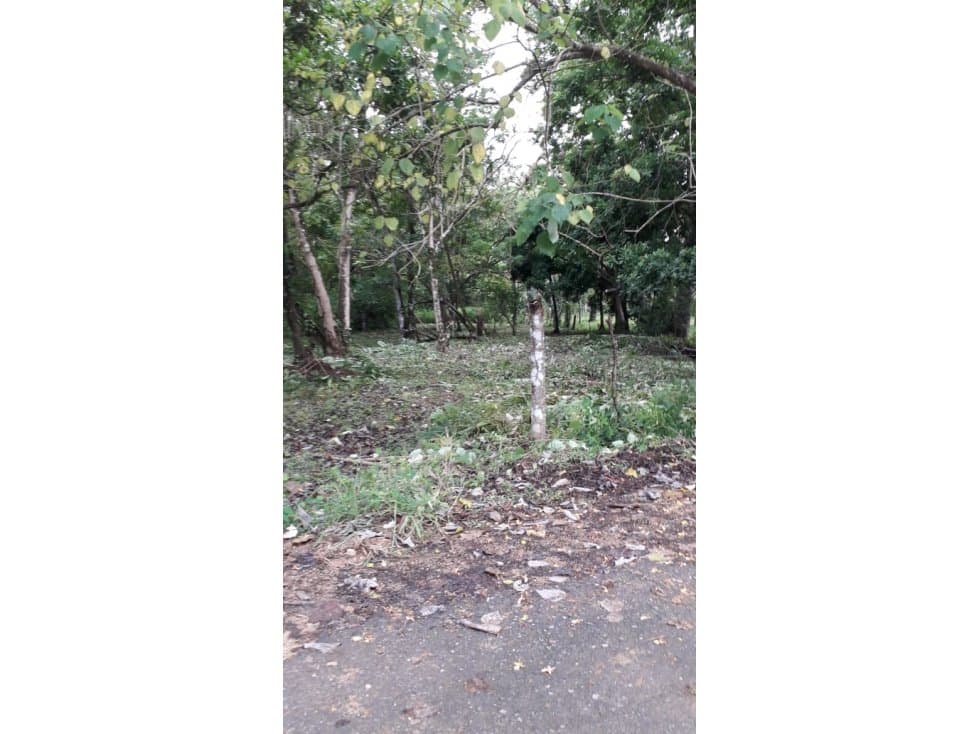 Se vende finca de 6.5 hectáreas en la Costa Atlántica I.D. MH - 1