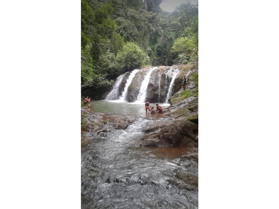 FINCA EN COLÓN / BUENA VISTA / 43.5 Has - 1