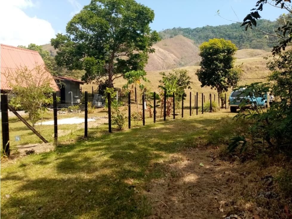 VENDO HERMOSA FINCA EN CAMBUTAL, TONOSI - 1