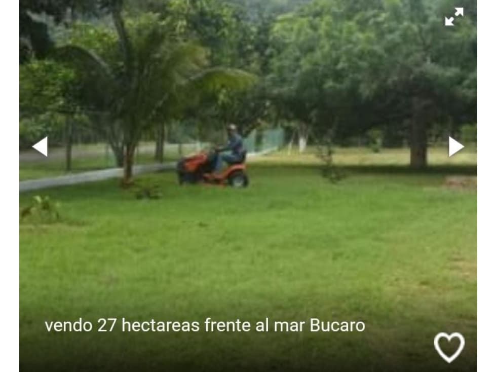 TERRENO DE 27 HECTAREAS FRENTE AL MAR EN BUCARO, TONOSI - 1