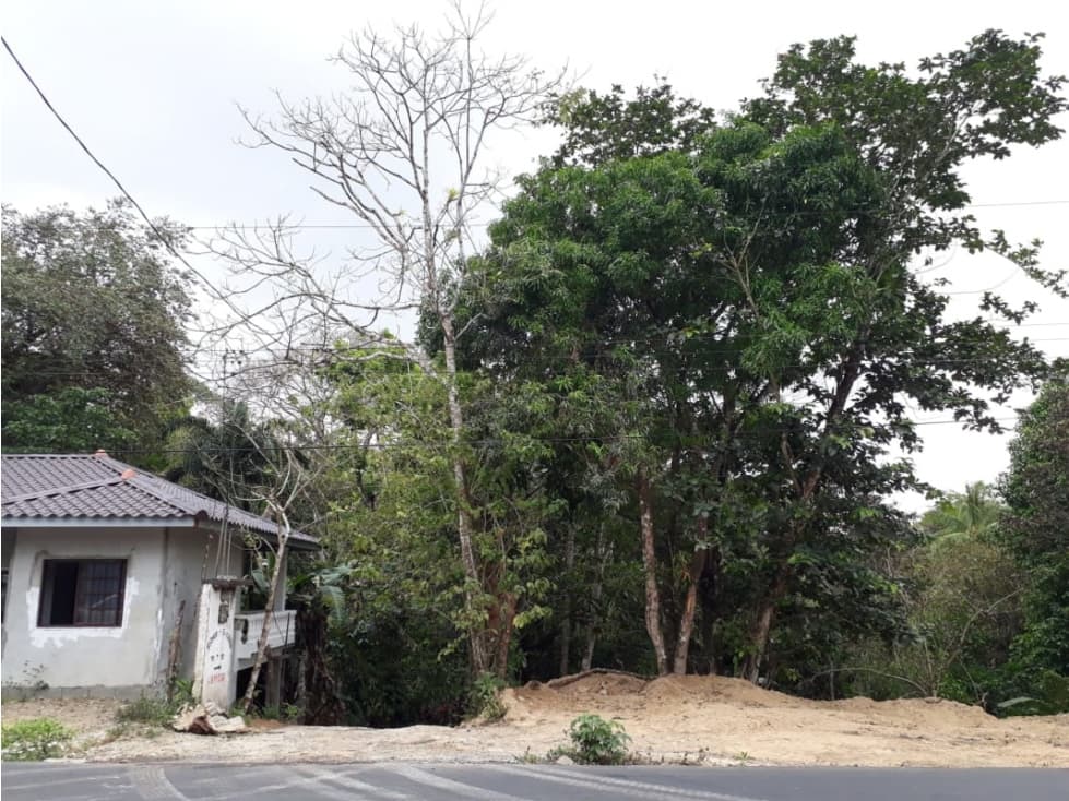 SE VENDE TERRENO DE 5 HECTAREAS GATUNCILLO NUEVO PARAISO EN COLON - 1