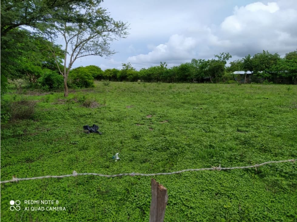 TERRENO 7 HECTAREAS EN EL EJIDO VIA PLAYA MONAGRA - 1