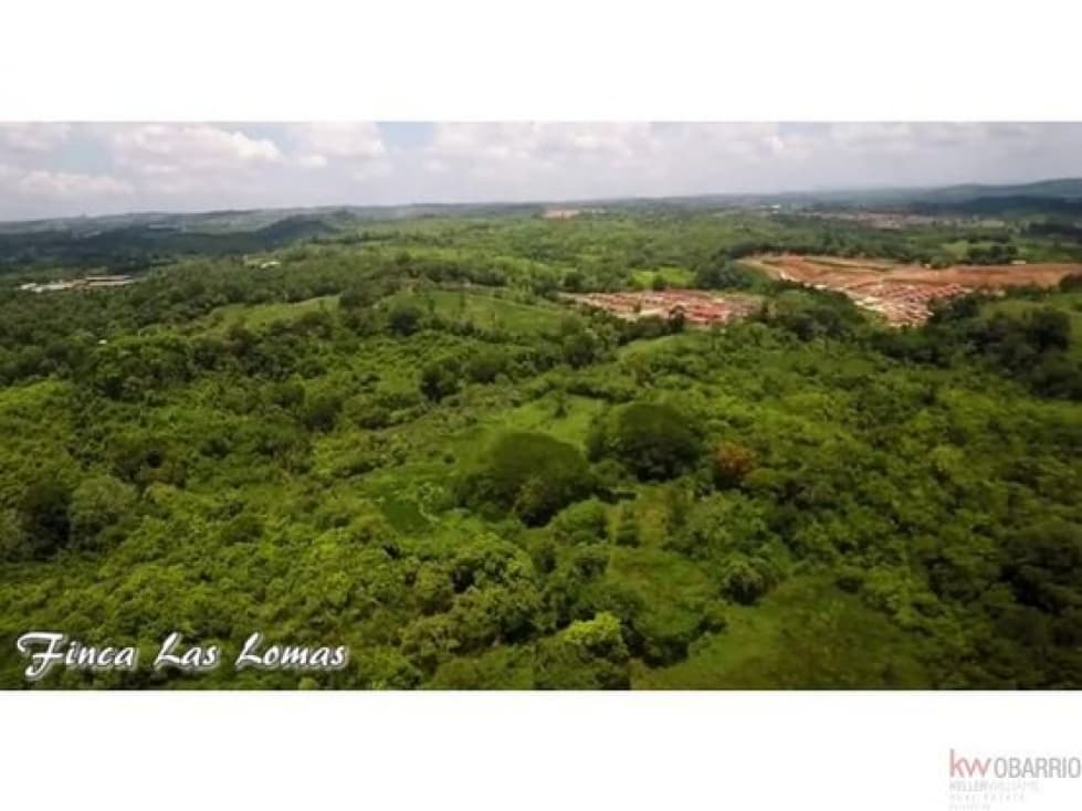 Se vende Terreno en La Chorrera, Calle Principal Las Yayas MMM - 1