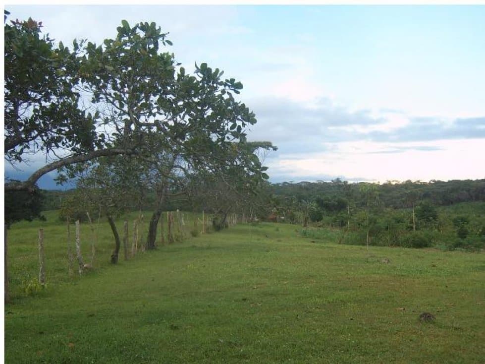 Venta de finca en La Chorrera (Arosemena) GTA - 1
