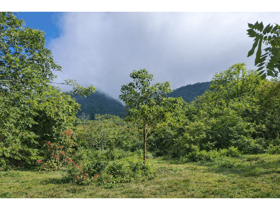 ¡Lote de montaña excepcional en El Valle De Anton! - 1
