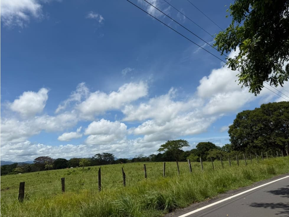Venta de finca en San Juan de San Lorenzo - 1