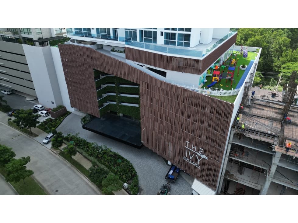 THE IVY - 1