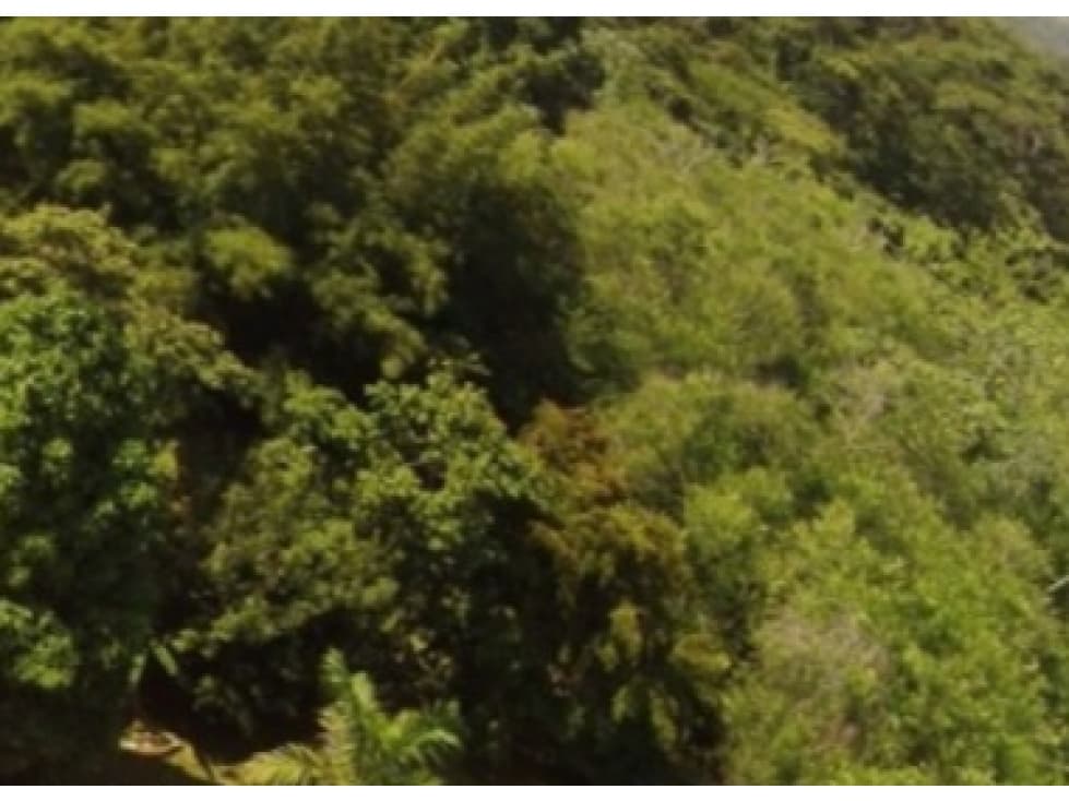 Venta de terreno en San Pablo Viejo Arriba, Chiriquí - 1