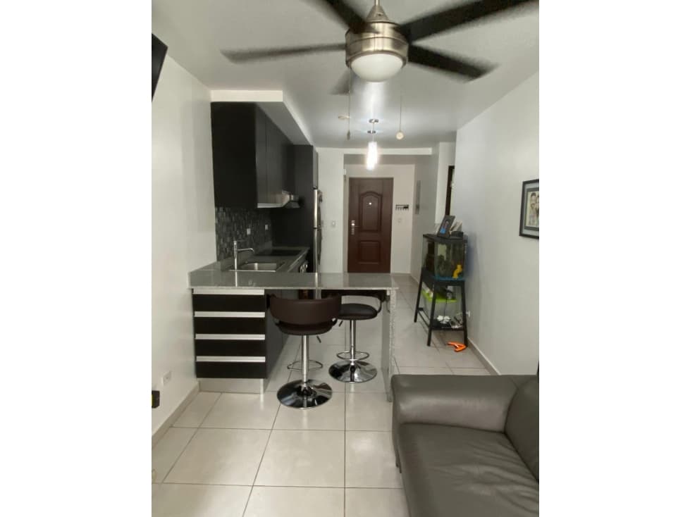 ALQUILER DE HERMOSO APARTAMENTO EN CALIDONIA - 1