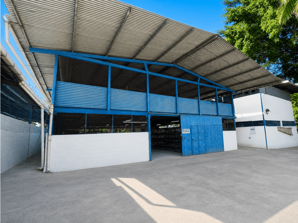 BODEGA EN ALQUILER | PUEBLO NUEVO | FACIL ACCESO A TRANSISTMICA - 1