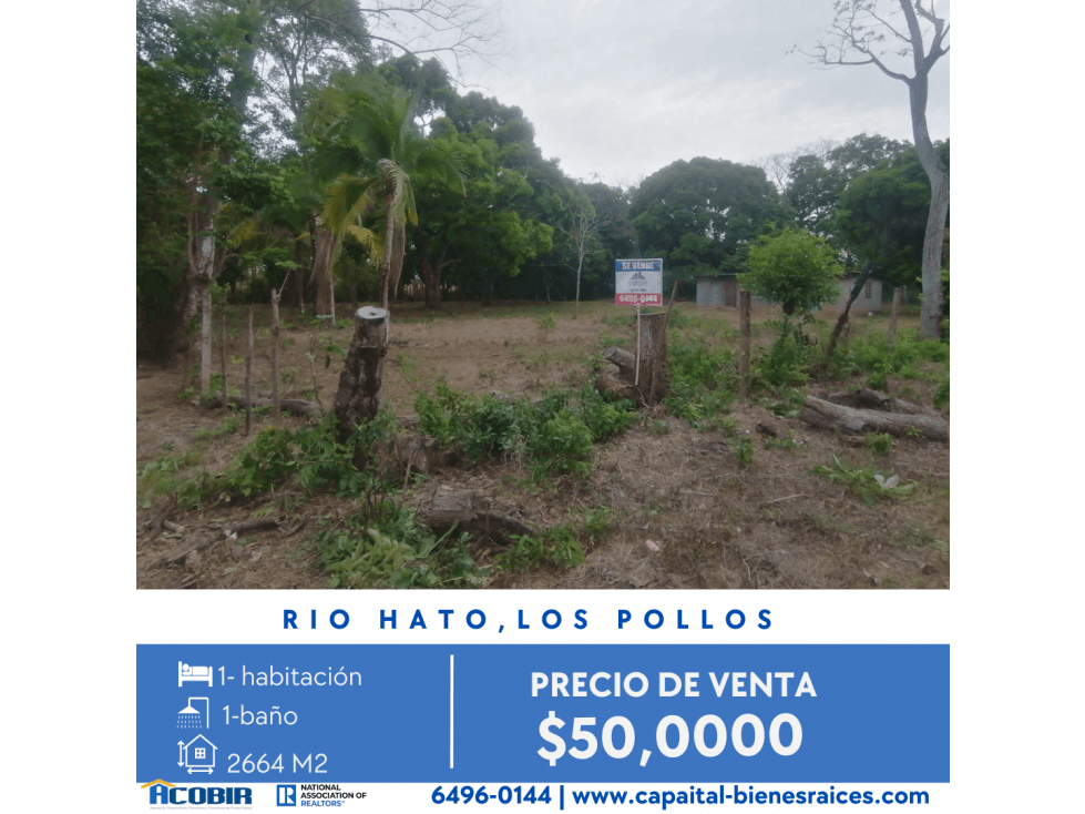 TERRENO EN RIO HATO - LOS POLLOS - 1