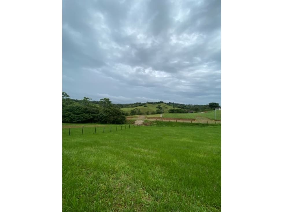 Proyecto Campestre -Lotes de Terreno - 1