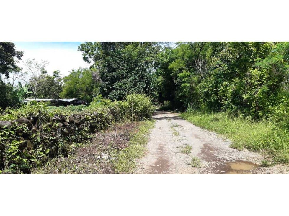 VENDO LOTE DE 6000M2 EN POTRERILLOS - 1